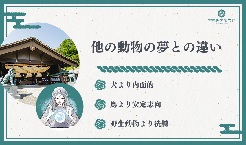 猫を撫でる夢と他の動物の夢との違い