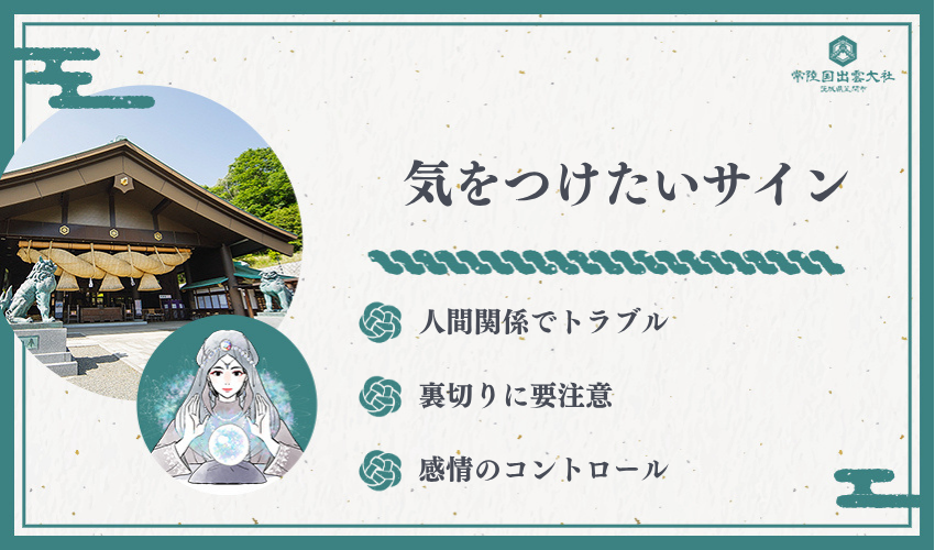 猫の夢が警告する注意点