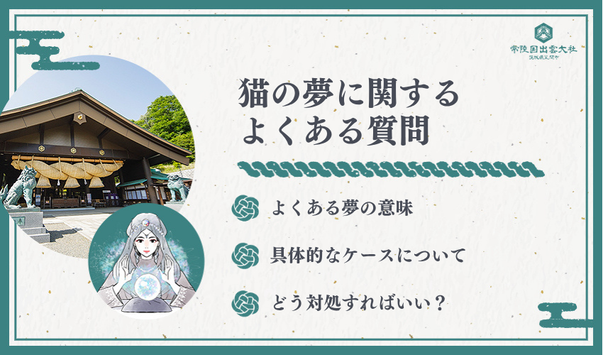 夢占い猫に関するよくある質問