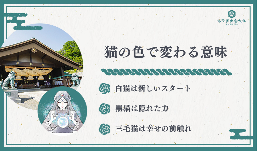 毛色別 猫の夢が持つ意味