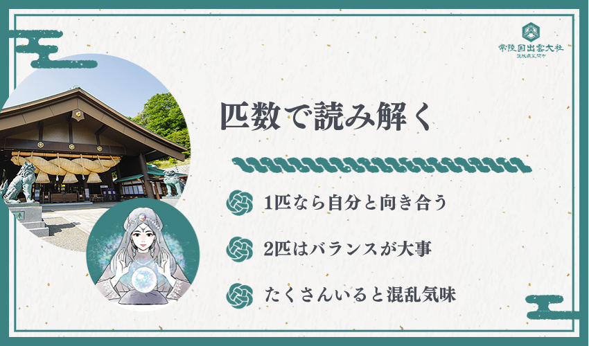 数別 猫の夢占い