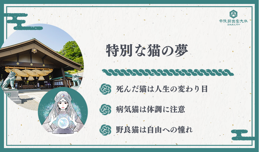 状況別 特殊な猫の夢パターン解説