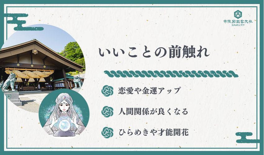 猫の夢が示す吉兆サイン