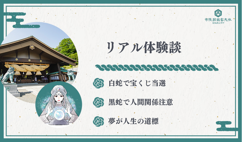 実際に蛇の夢を見た私の体験談